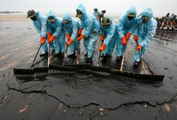 Нефтяное пятно добралось до Миссисипи Нефтяное пятно добралось до Миссисипи